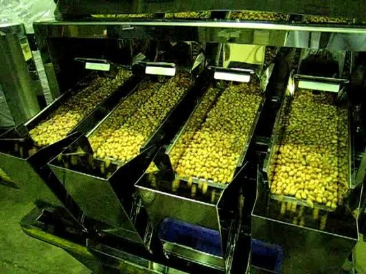 6500 máquina linear principal del pesador del gramo 4 para el chocolate