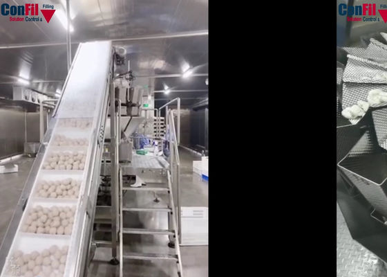 Máquina de empaquetamiento al vacío rotatoria principal 14 para la máquina del acondicionamiento de los alimentos congelados de la albóndiga
