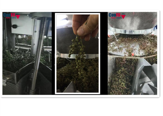 Pesador de Multihead de la balanza de Multihead para la máquina de rellenar de la prenda impermeable verde vegetal de la ceniza espinosa