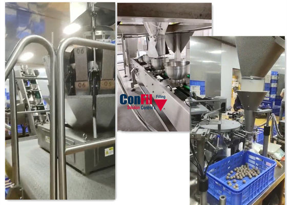 Máquina de empaquetamiento al vacío rotatoria principal 14 para la máquina del acondicionamiento de los alimentos congelados de la albóndiga