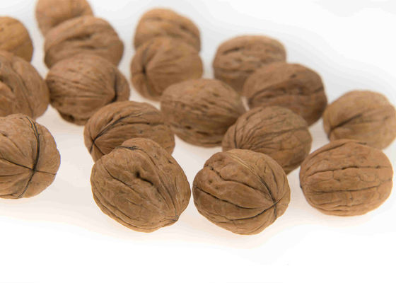 Pesador de Multihead de la balanza de Multihead de 1,6 litros para la máquina de rellenar de una tolva más grande de las nueces de las nueces