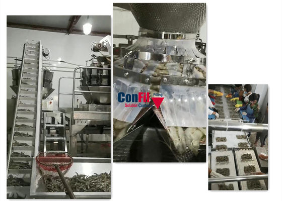 Balanza principal de 14 Multihead para el camarón de relleno Tray Conveyor listo de la gamba